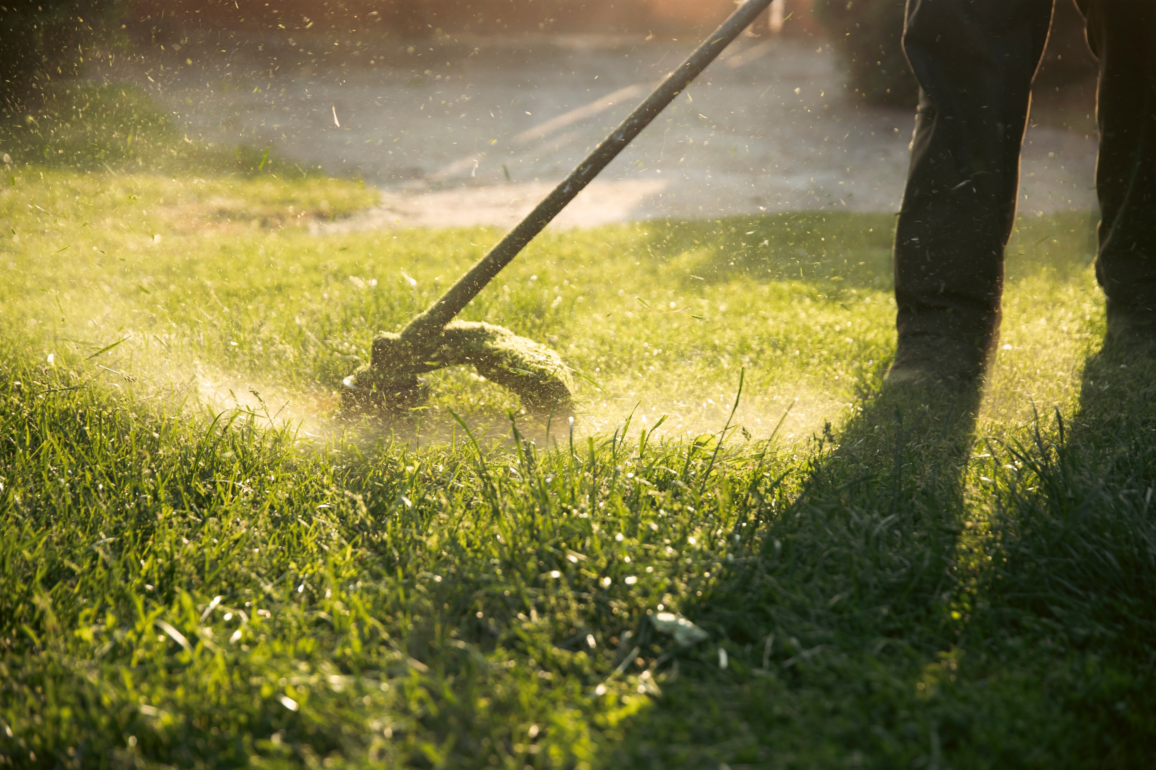 Lawn Mowing & Edging