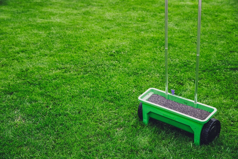 Lawn Treatments