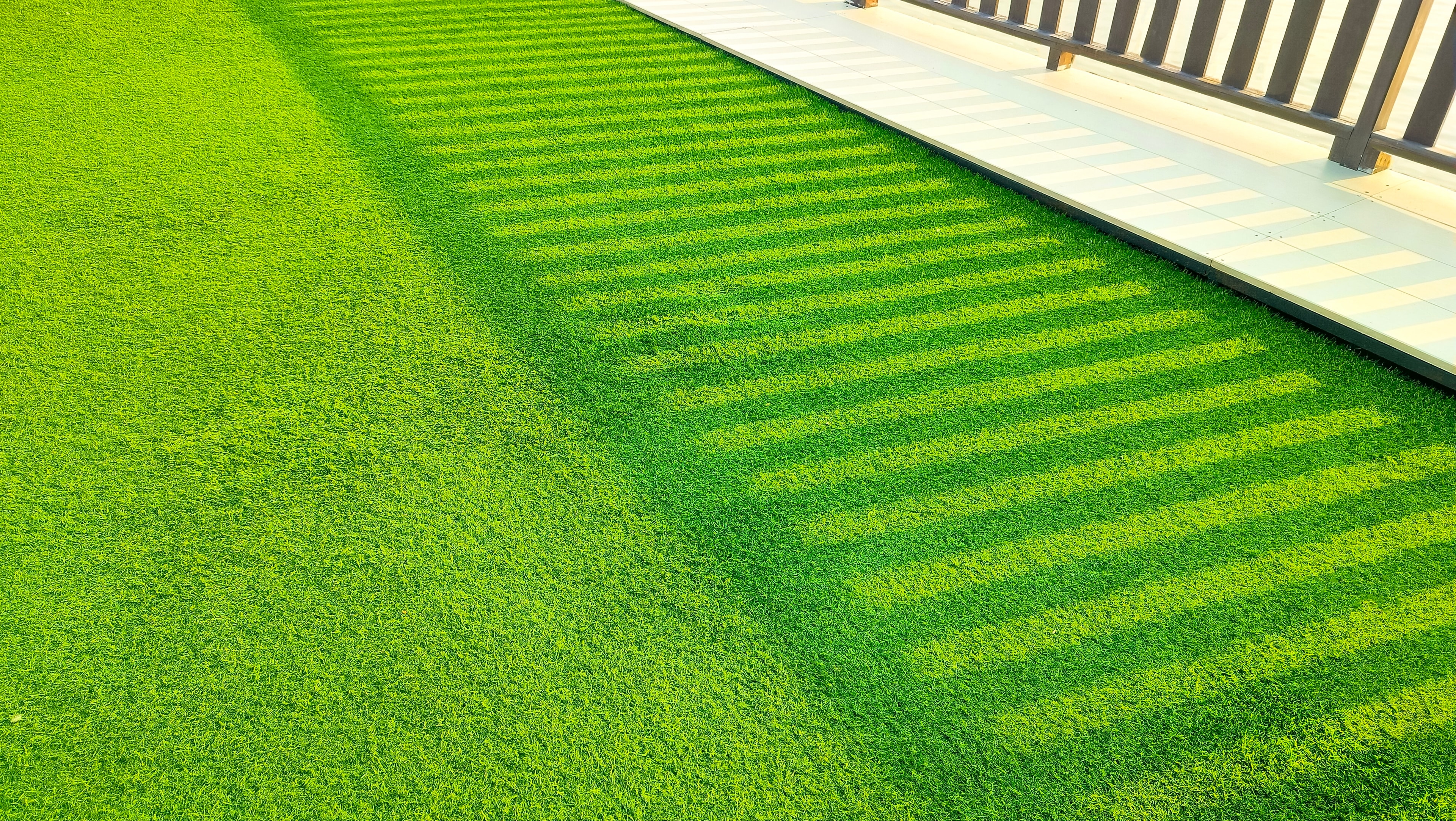 Synthetic Turf